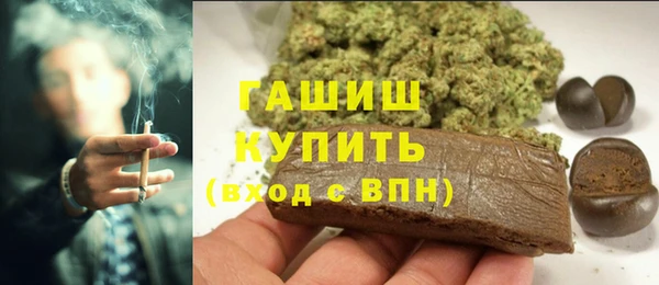 индика Бронницы